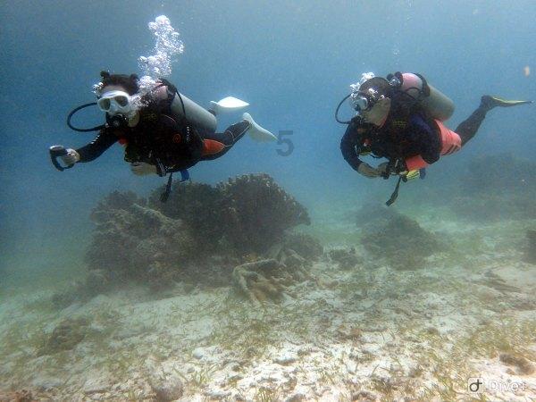 逃出海滩度假胜地