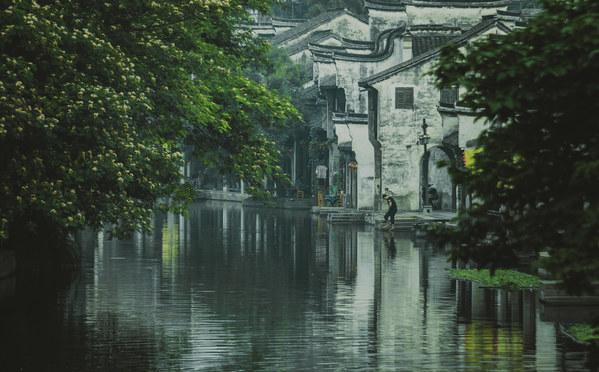 花语月